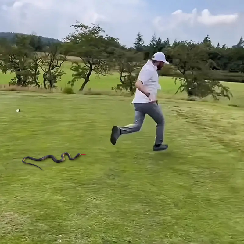 1/2pc Fake Snake Prank Toy Sca - đánh giá và giá Prank Toys